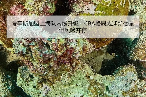 kao-xin-si-jia-meng-shang-hai-dui-nei-xian-sheng-ji-ge-ju-huo-ying-xin-bian-liang-dan-feng-xian-bing-cun-1-417.jpg